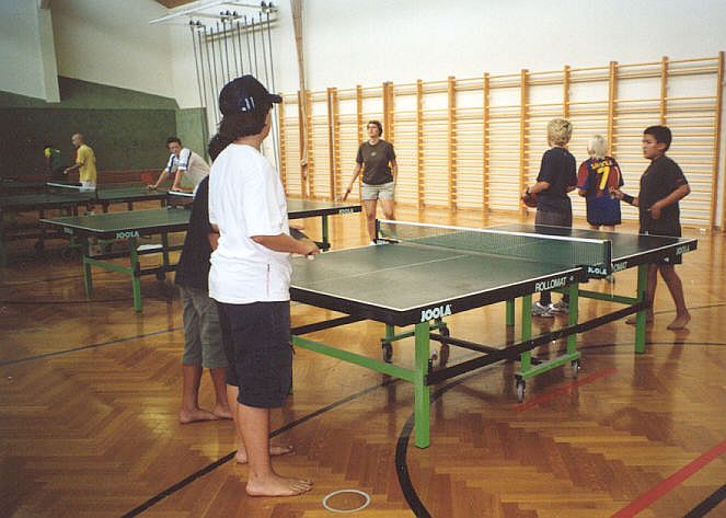 2004_FS2